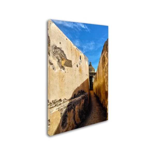 CATeyes 'Castillo De San Felipe Del Morro 14' Canvas Art,22x32